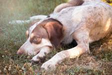 Astrid USAI - Donatella